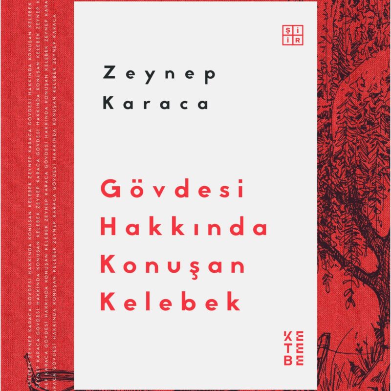 Gövdesi Hakkında Konuşan Kelebek