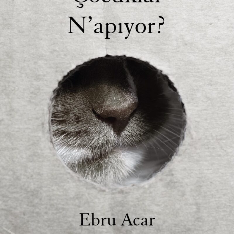 Çocuklar Napıyor?