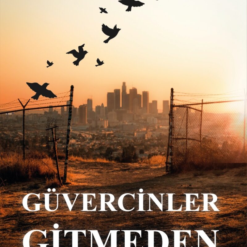Güvercinler Gitmeden