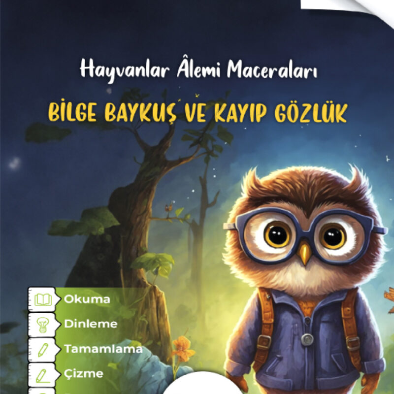 Bilge Baykuş ve Kayıp Gözlük