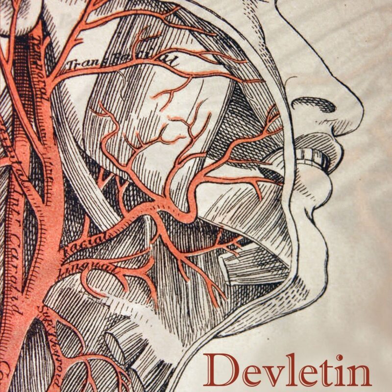 Devletin Anatomisi