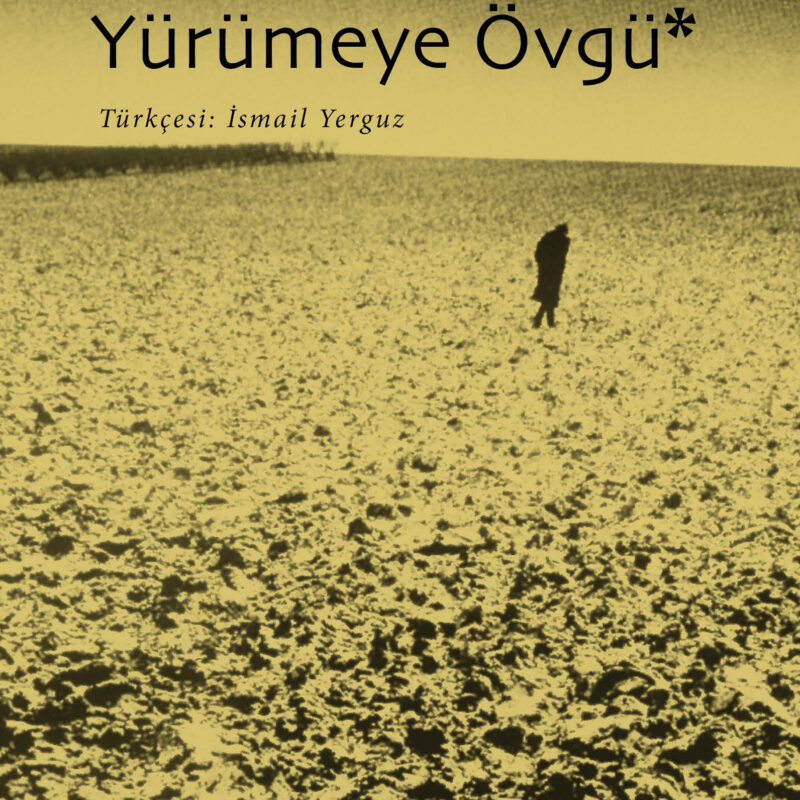 Yürümeye Övgü